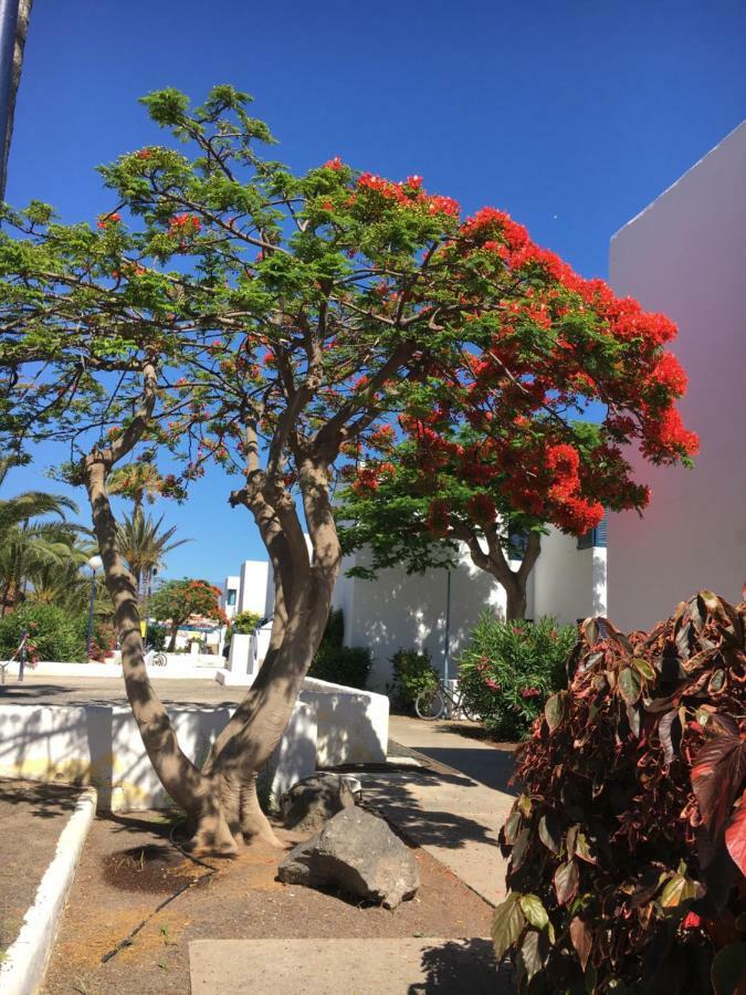 Los Barqueros Corralejo "Beach Front - Town Centre" Dış mekan fotoğraf